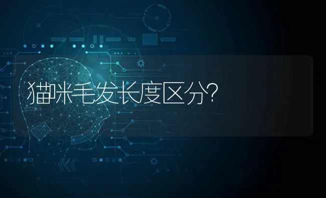 猫咪毛发长度区分？ | 动物养殖问答