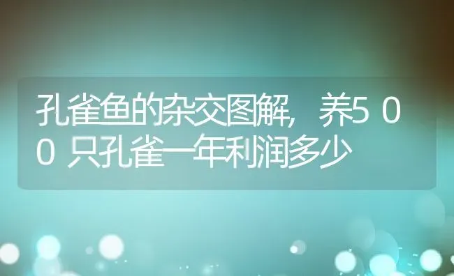 孔雀鱼的杂交图解,养500只孔雀一年利润多少 | 宠物百科知识