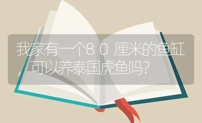 我家有一个80厘米的鱼缸，可以养泰国虎鱼吗？ | 鱼类宠物饲养