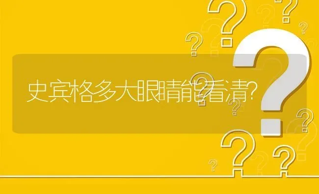 史宾格多大眼睛能看清？ | 动物养殖问答