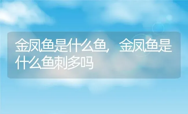 金凤鱼是什么鱼,金凤鱼是什么鱼刺多吗 | 宠物百科知识