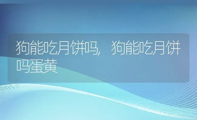 狗能吃月饼吗,狗能吃月饼吗蛋黄 | 宠物百科知识