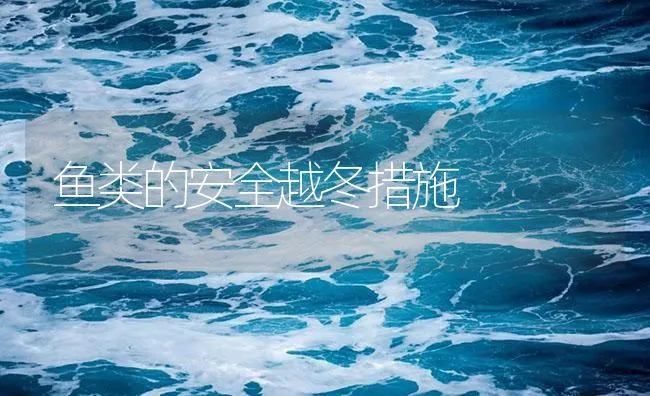 鱼类的安全越冬措施 | 海水养殖技术