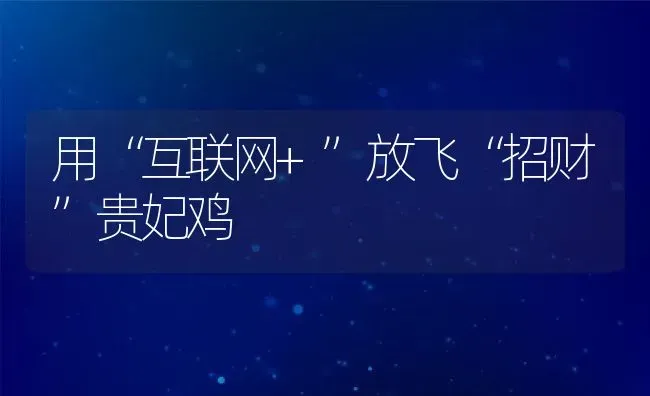 用“互联网+”放飞“招财”贵妃鸡 | 动物养殖教程