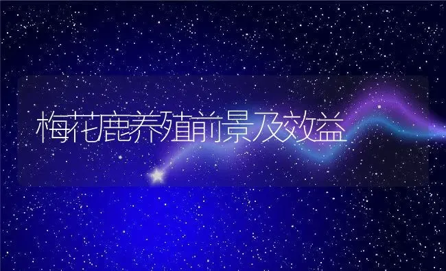 梅花鹿养殖前景及效益 | 动物养殖百科