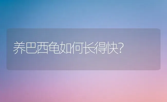 形容猫咪很皮的句子？ | 动物养殖问答