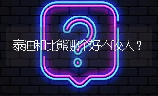 泰迪和比熊哪个好不咬人？ | 动物养殖问答