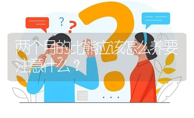 两个月的比熊应该怎么养要注意什么？ | 动物养殖问答