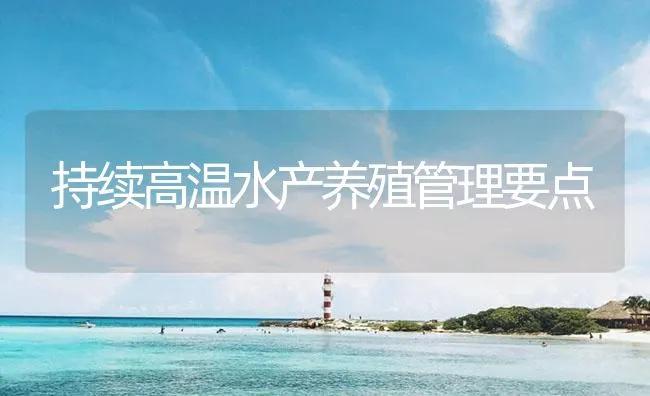 持续高温水产养殖管理要点 | 海水养殖技术