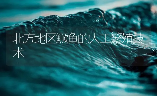 北方地区鳜鱼的人工繁殖技术 | 海水养殖技术