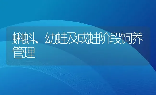 蝌蚪、幼蛙及成蛙阶段饲养管理 | 动物养殖百科