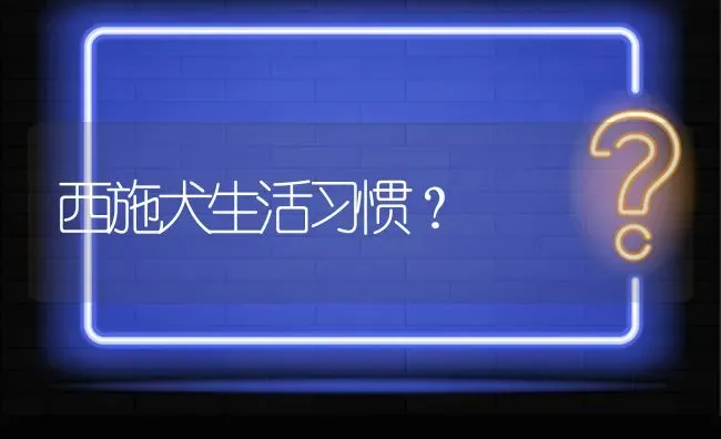 西施犬生活习惯？ | 动物养殖问答