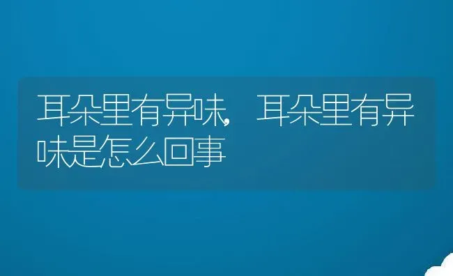 耳朵里有异味,耳朵里有异味是怎么回事 | 宠物百科知识