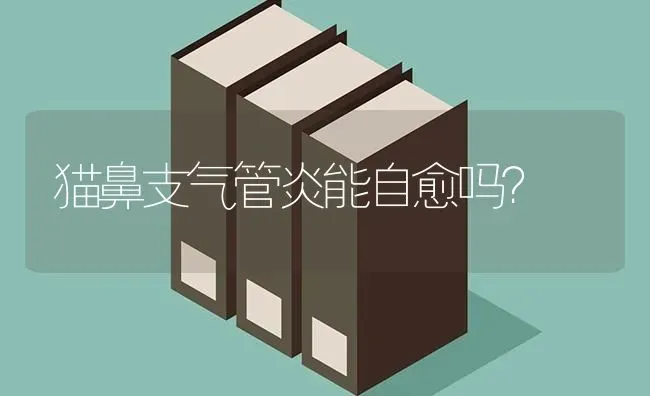 猫鼻支气管炎能自愈吗？ | 动物养殖问答