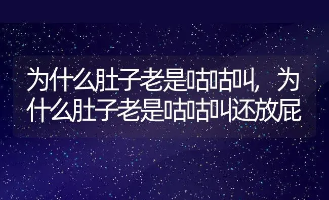 为什么肚子老是咕咕叫,为什么肚子老是咕咕叫还放屁 | 宠物百科知识