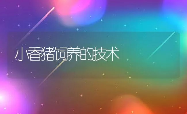 种母兔的养殖规程 | 动物养殖学堂