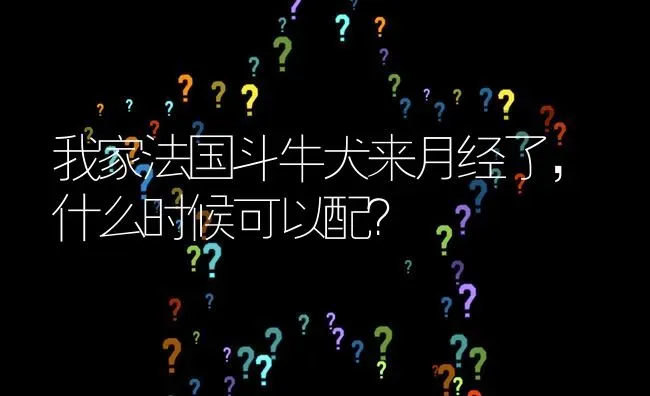 我家法国斗牛犬来月经了，什么时候可以配？ | 动物养殖问答