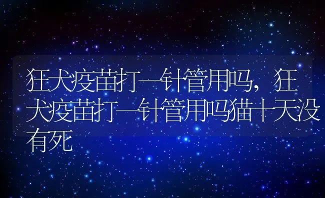 狂犬疫苗打一针管用吗,狂犬疫苗打一针管用吗猫十天没有死 | 宠物百科知识