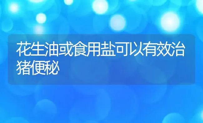 花生油或食用盐可以有效治猪便秘 | 动物养殖饲料