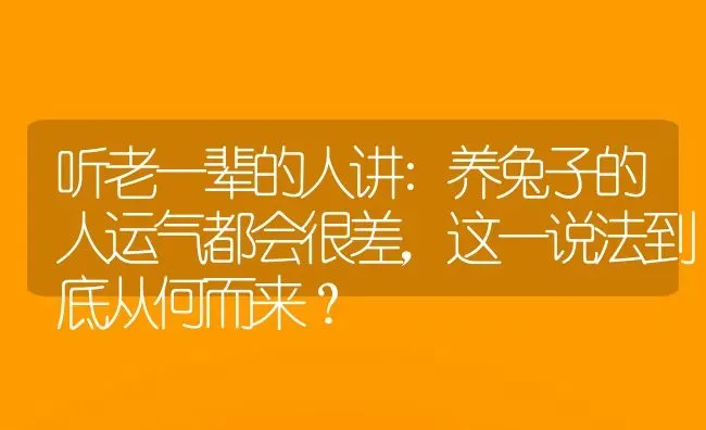 听老一辈的人讲:养兔子的人运气都会很差，这一说法到底从何而来？ | 动物养殖问答