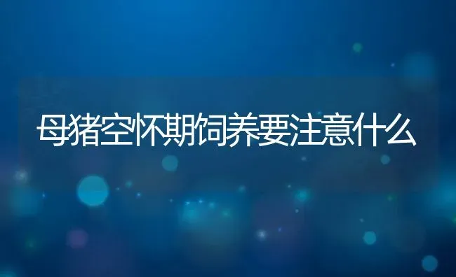 母猪空怀期饲养要注意什么 | 动物养殖百科