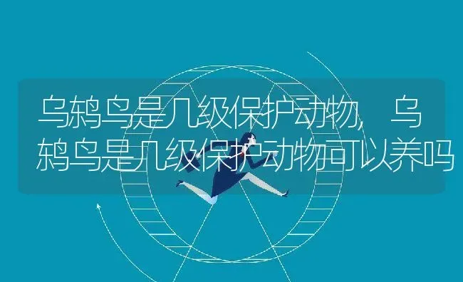 乌鸫鸟是几级保护动物,乌鸫鸟是几级保护动物可以养吗 | 宠物百科知识