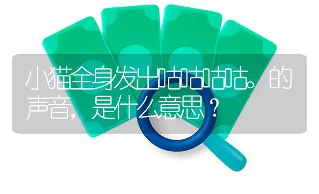 小猫全身发出咕咕咕咕。的声音，是什么意思？ | 动物养殖问答