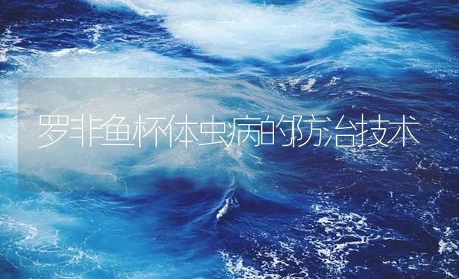 罗非鱼杯体虫病的防治技术 | 海水养殖技术