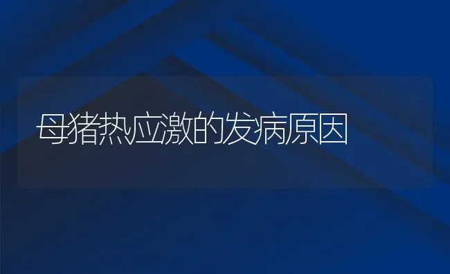 母猪热应激的发病原因 | 动物养殖学堂