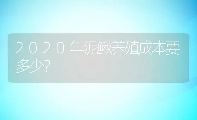 2020年泥鳅养殖成本要多少？ | 动物养殖百科