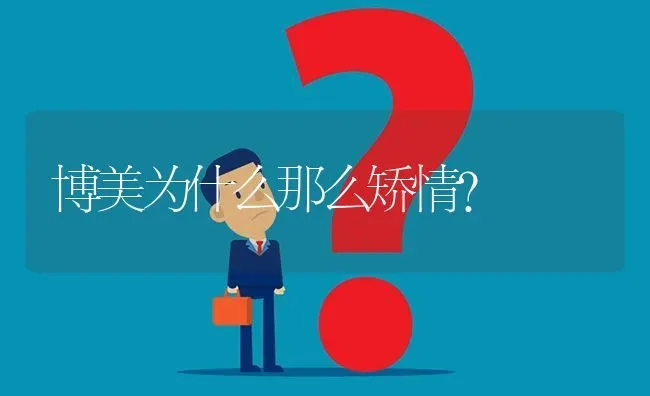 博美为什么那么矫情？ | 动物养殖问答