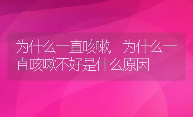 为什么一直咳嗽,为什么一直咳嗽不好是什么原因 | 宠物百科知识