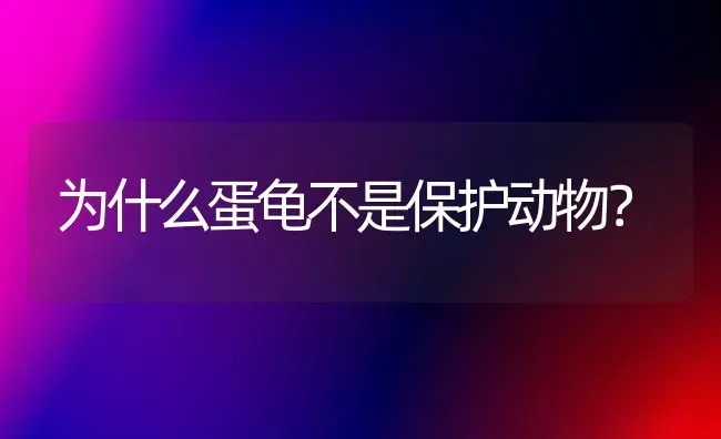 为什么蛋龟不是保护动物？ | 动物养殖问答