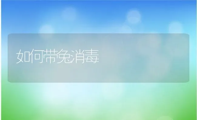 如何带兔消毒 | 水产养殖知识