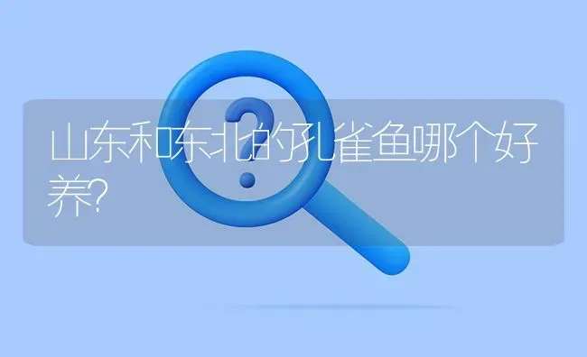 山东和东北的孔雀鱼哪个好养？ | 鱼类宠物饲养