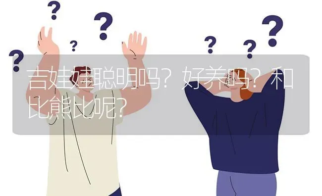 吉娃娃聪明吗？好养吗？和比熊比呢？ | 动物养殖问答