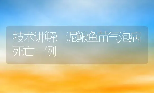 技术讲解:泥鳅鱼苗气泡病死亡一例 | 动物养殖百科