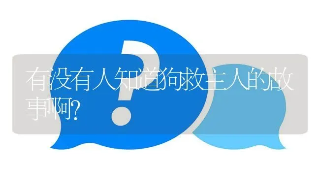 有没有人知道狗救主人的故事啊？ | 动物养殖问答