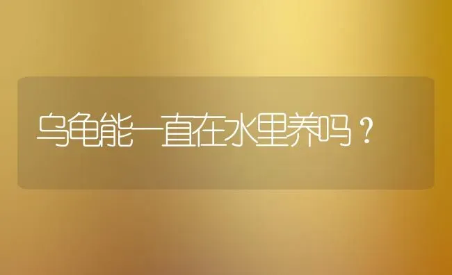 乌龟能一直在水里养吗？ | 动物养殖问答