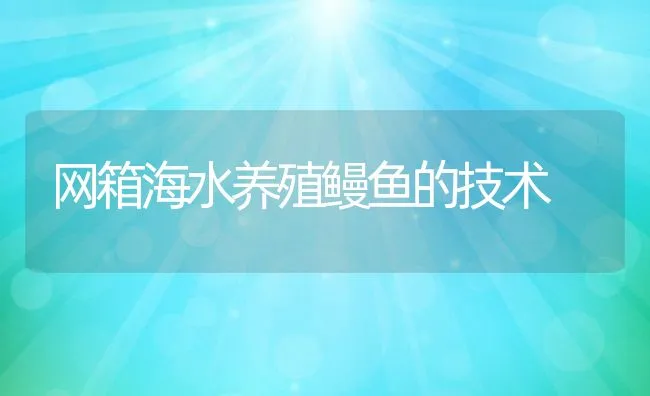 网箱海水养殖鳗鱼的技术 | 动物养殖饲料