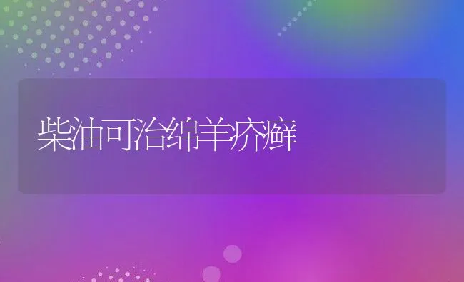 柴油可治绵羊疥癣 | 动物养殖学堂