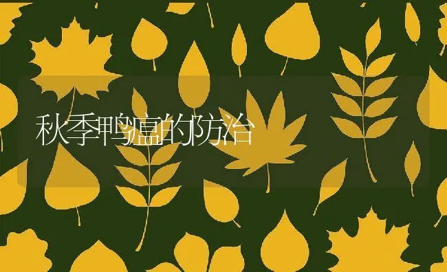 秋季鸭瘟的防治 | 动物养殖学堂