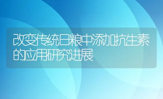 夏季养鸽最忌讳什么？ | 动物养殖学堂