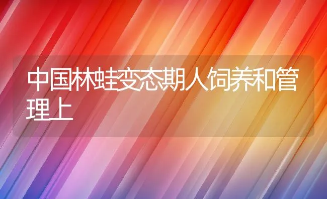 中国林蛙变态期人饲养和管理上 | 水产养殖知识