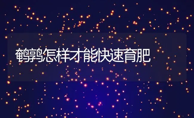 鹌鹑怎样才能快速育肥 | 水产养殖知识