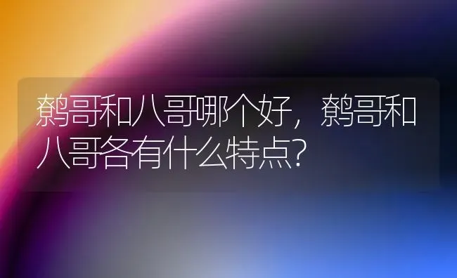 鹩哥和八哥哪个好，鹩哥和八哥各有什么特点？ | 动物养殖问答