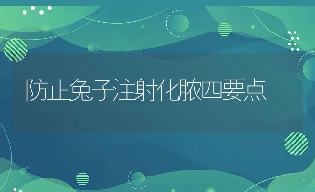 防止兔子注射化脓四要点 | 水产养殖知识