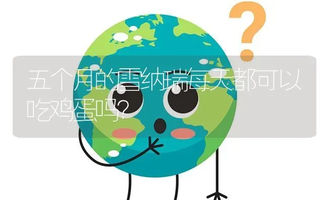 五个月的雪纳瑞每天都可以吃鸡蛋吗？ | 动物养殖问答