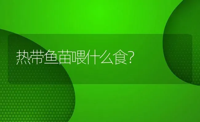 热带鱼苗喂什么食？ | 鱼类宠物饲养