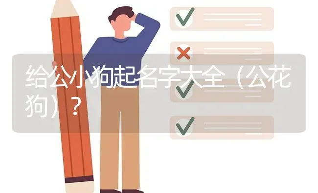 给公小狗起名字大全（公花狗）？ | 动物养殖问答